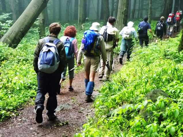 5 origós landol a vs.hu-nál, 1 pedig az Indexnél