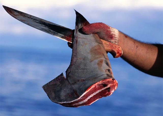 Most szívathatná meg Bajnai az MSZP-t, ha nem lenne annyira töketlen