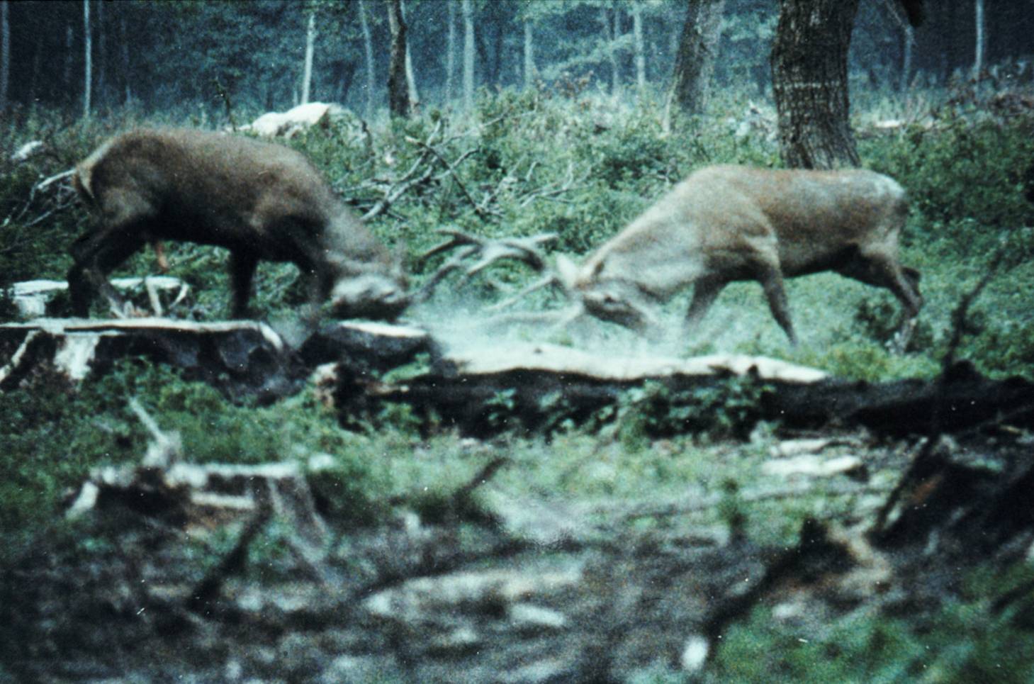 Illustration for article titled Családom két tagja, akik az űrutazáson dolgoznak