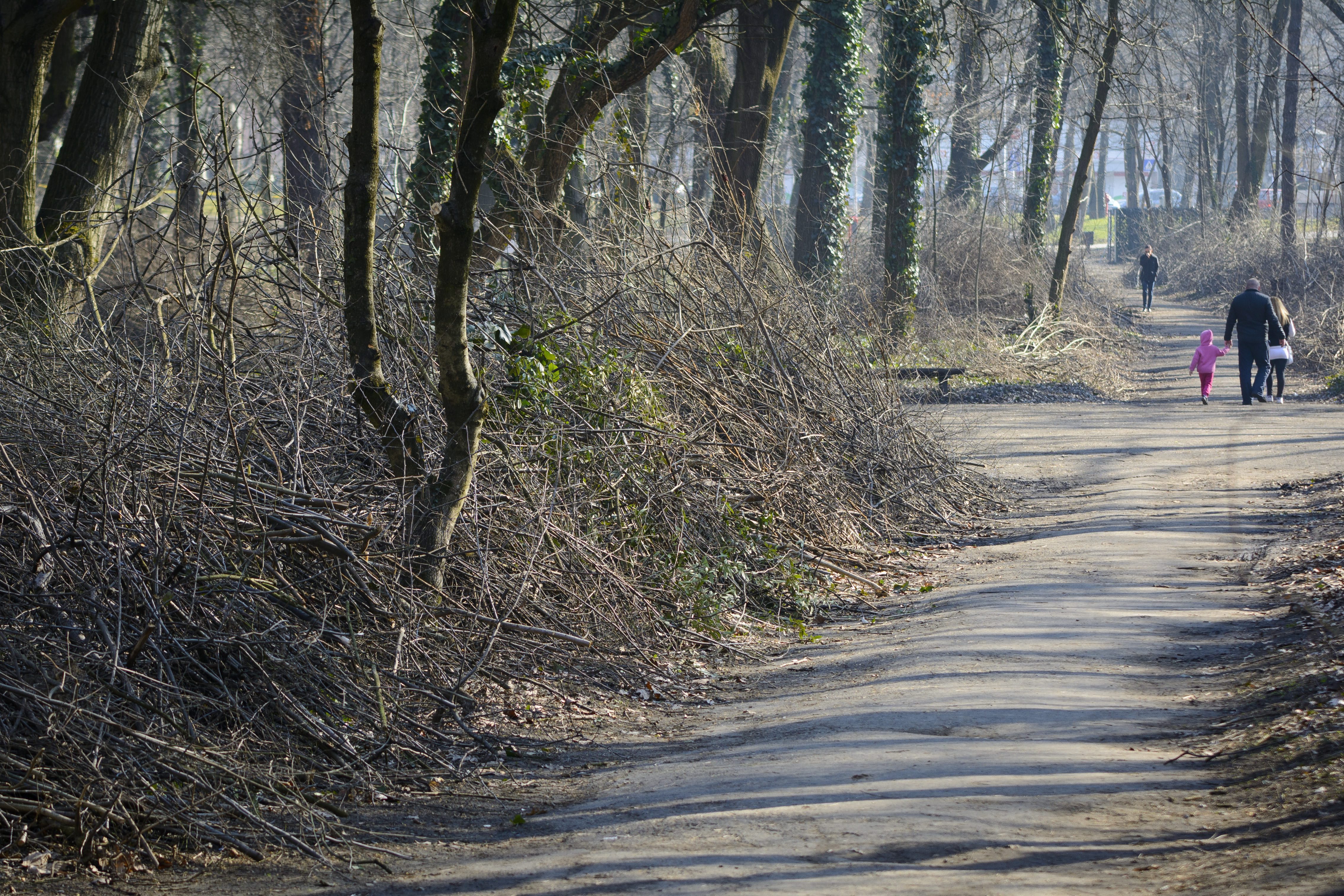Illustration for article titled Újabb nyomós érv a közmunkaprogram mellett!