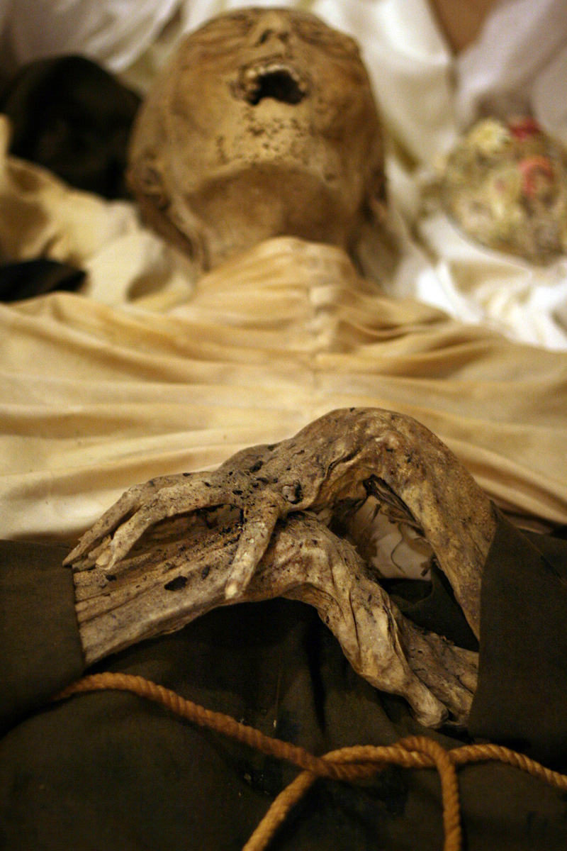 Illustration for article titled Hogy Sándor Terézia vámpír lett volna? Ugyan már!