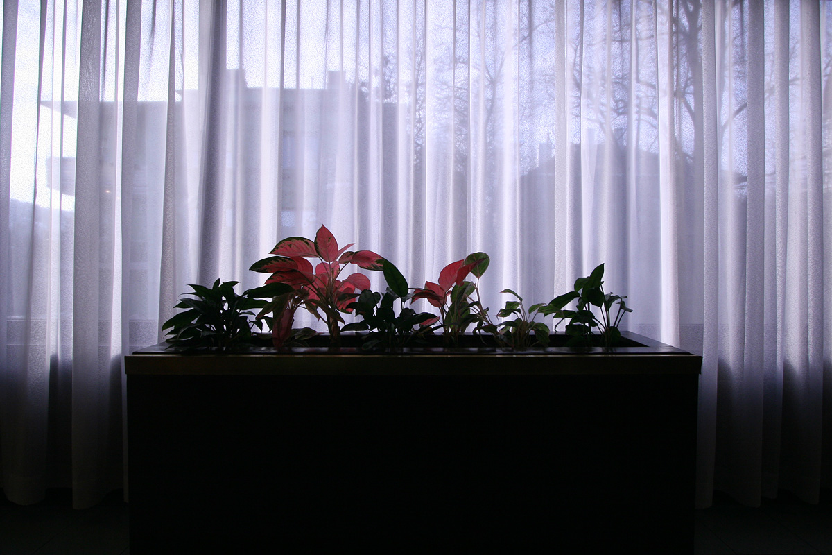 Illustration for article titled Ugye szerinted is ez a legmenőbb budapesti épület?