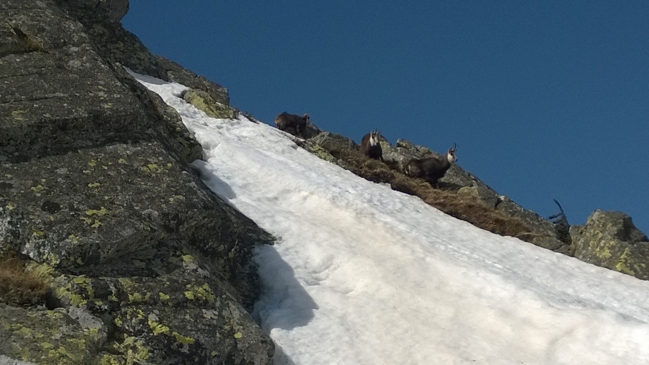 Illustration for article titled A saját trianonom és a tátrai zergék.