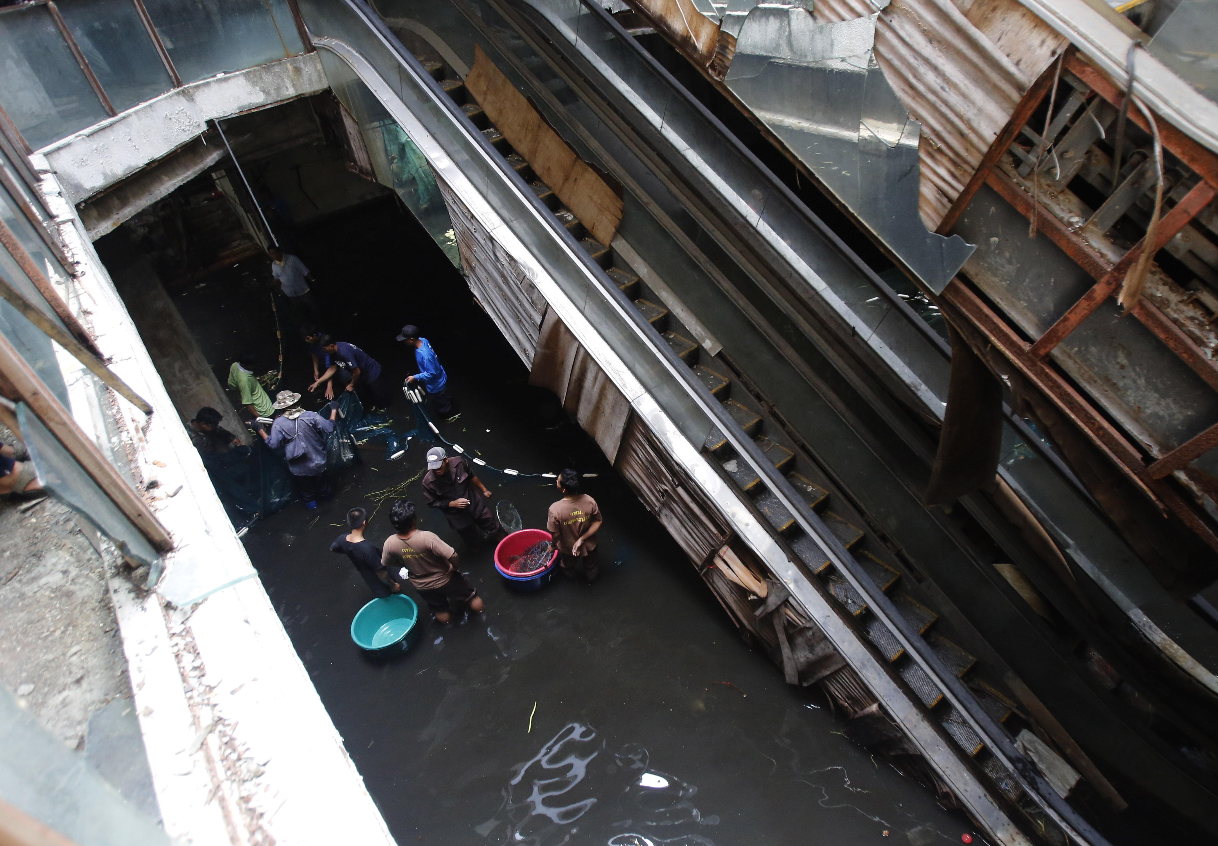Illustration for article titled Több ezer halat mentenek ki egy romos bevásárlóközpontból