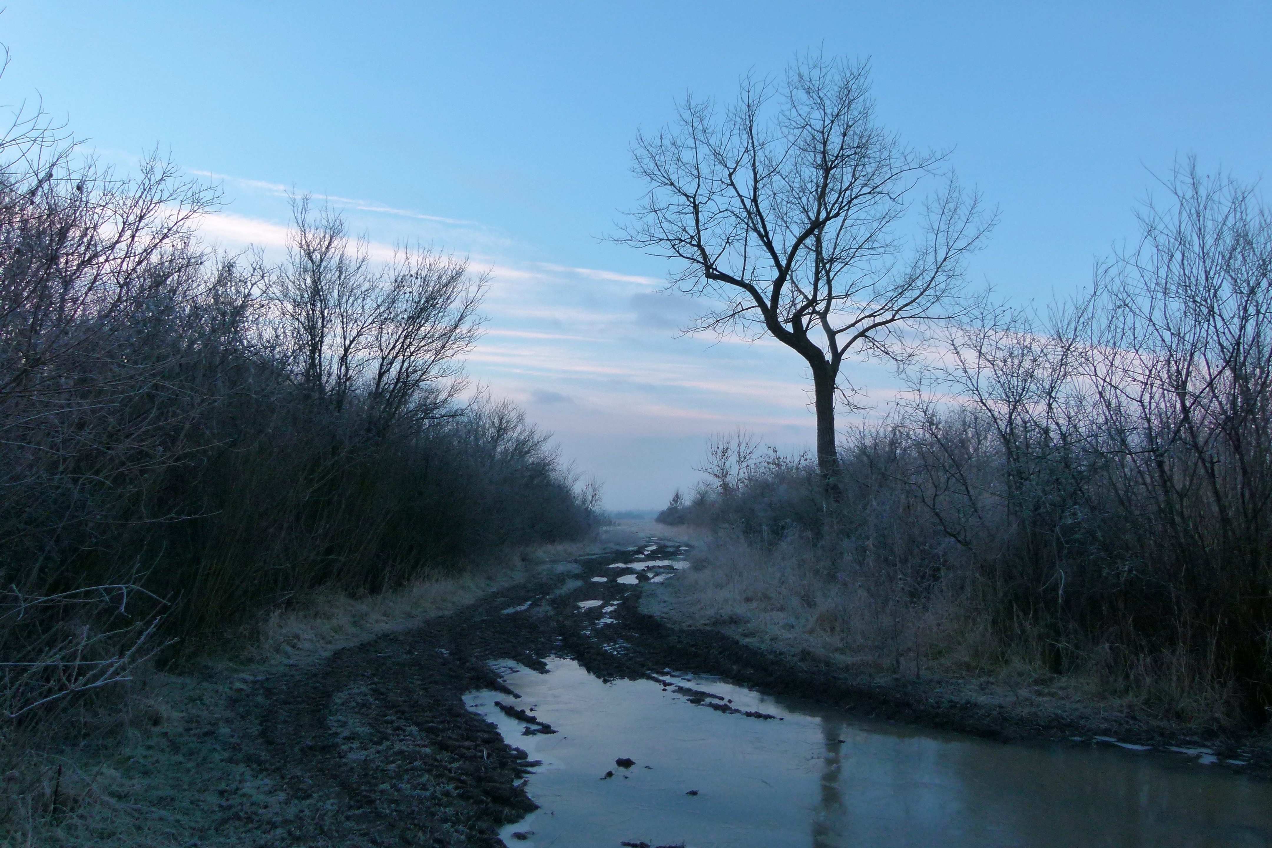Illustration for article titled Igazoltatott a rendőr - megírom.