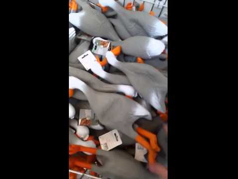 Megtalálták a hangrezgést, amitől automatikusan röhögni kezdesz