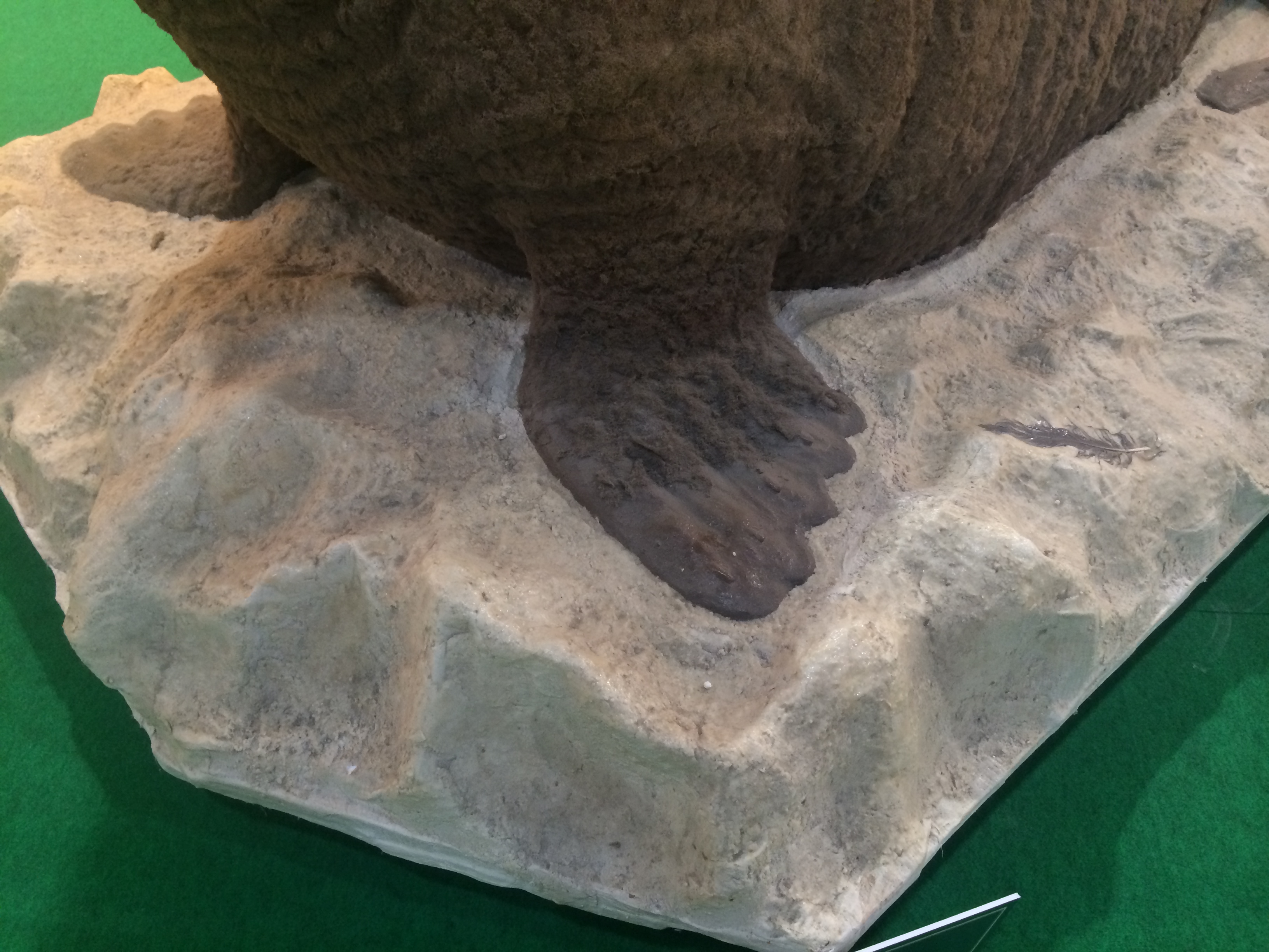 Illustration for article titled Így buliznak döglött állatokkal az ország legidiótábban öltözött emberei