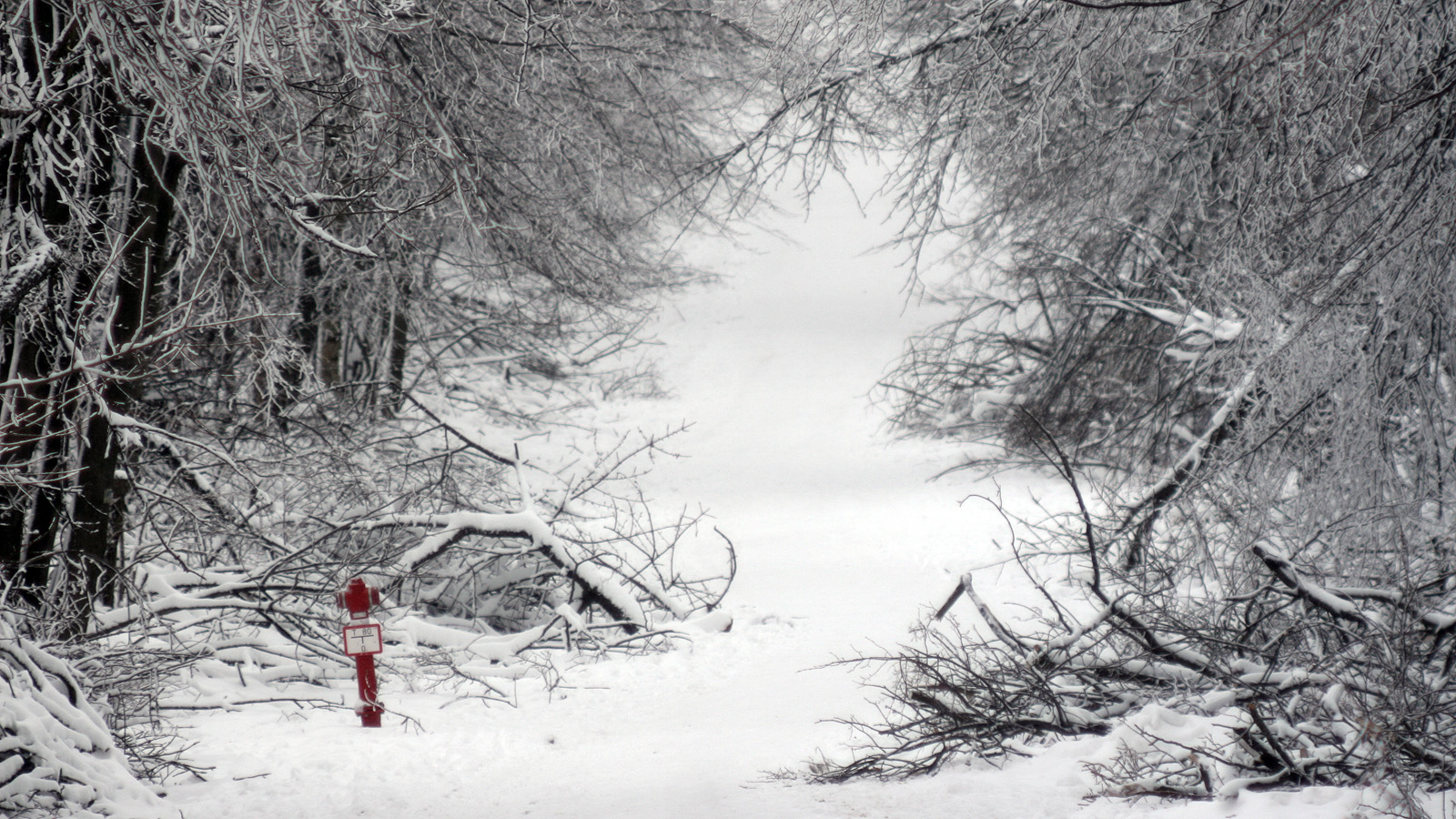 Illustration for article titled Itt a tél, és egyébként mindenki azt ír, amit akar, csak írjon!