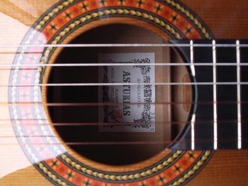 Illustration for article titled Az Agresszív Flamenco Gitáros