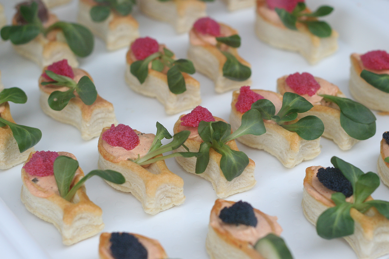 Illustration for article titled Egy ember 22 ezerért vett egy homárt, és befalta hidegen, műanyag tányérról