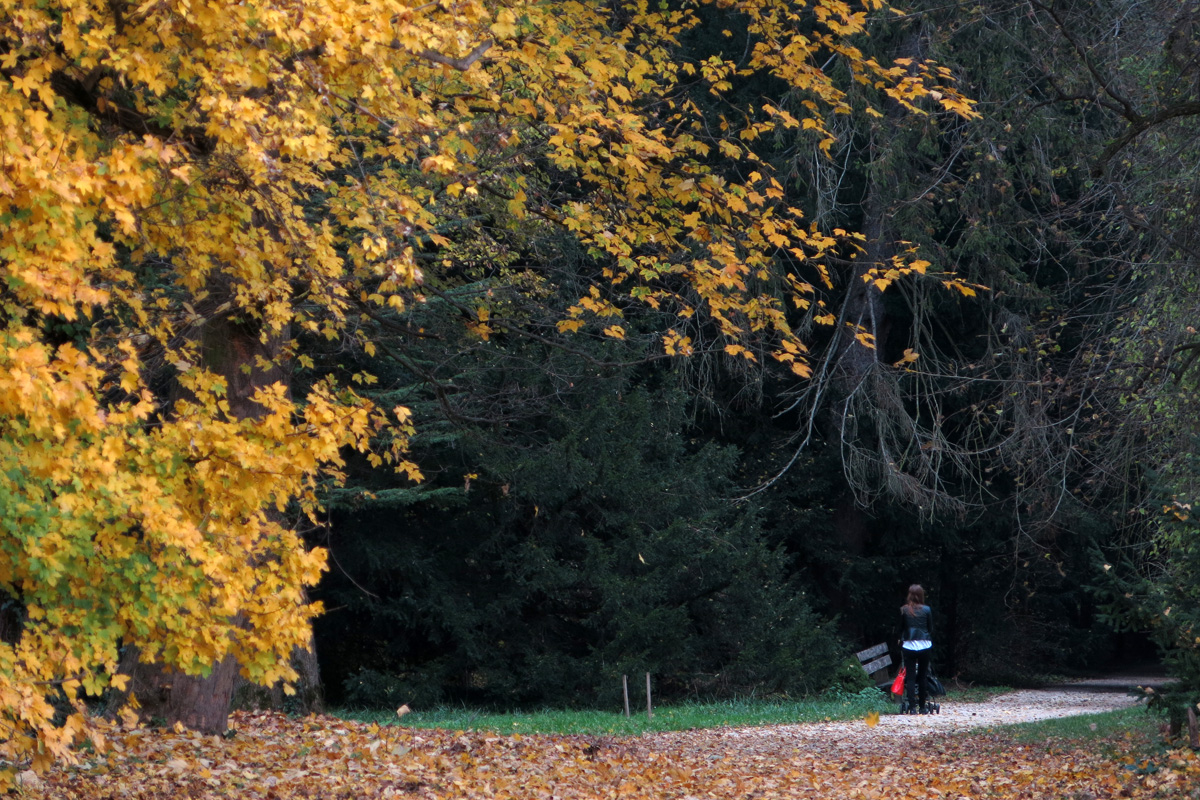 Illustration for article titled A legszebb dolog, amit József nádornak köszönhetünk