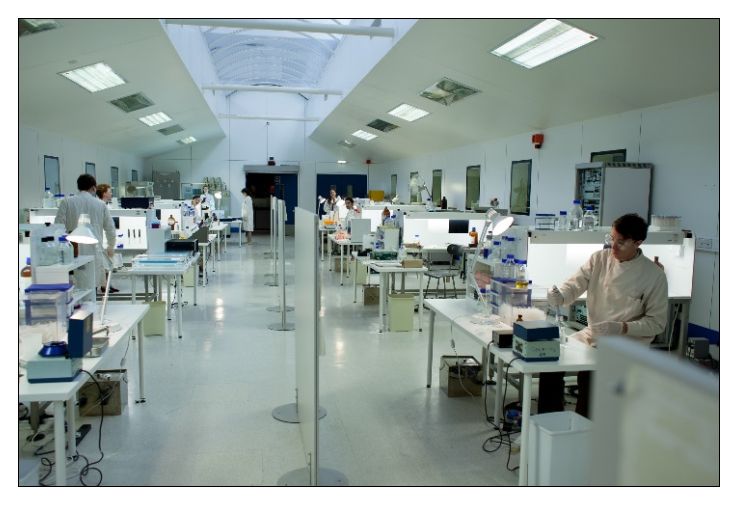 Illustration for article titled Két gyilkosság, 5000 vérminta, de ki a tettes?