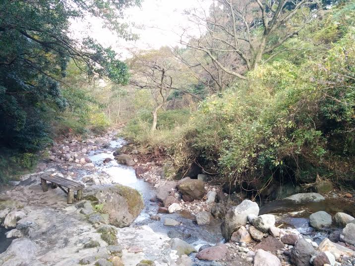 Illustration for article titled Plankó Gergő nem merte árammal rázatni a péniszét