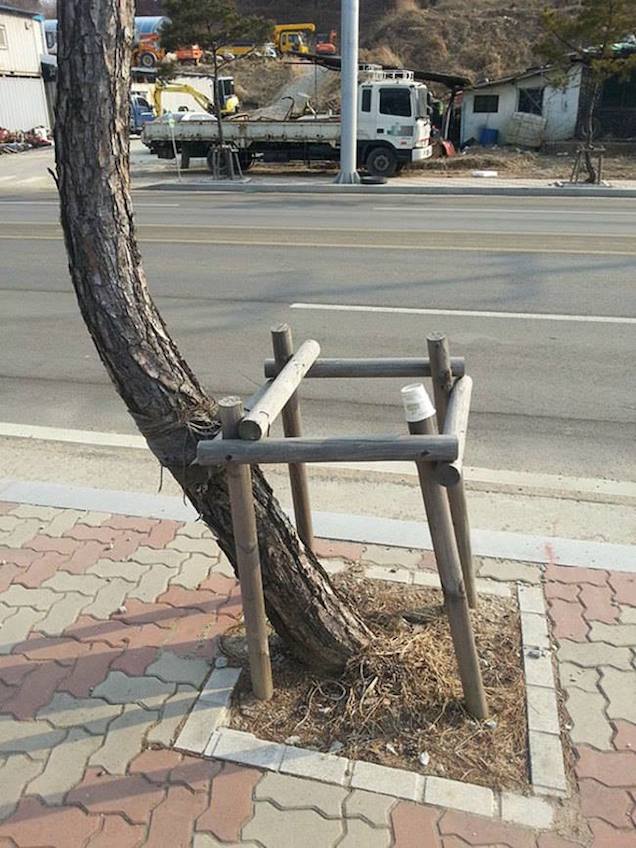 Mi az ördögöt művel ez a fa?