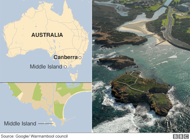 Illustration for article titled ODDBALL A PINGVIN MENTŐ KUTYUS, A VARÁZSLATOS AUSZTRÁL SZIGETVILÁGBAN