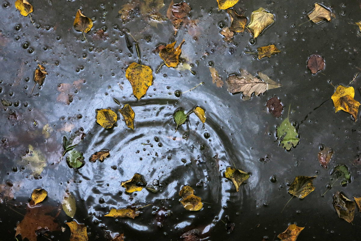 Illustration for article titled A legszebb dolog, amit József nádornak köszönhetünk