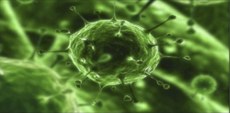 Illustration for article titled Politikonc#4