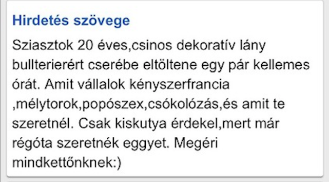 Te mit tennél meg egy aranyos kutyusért?