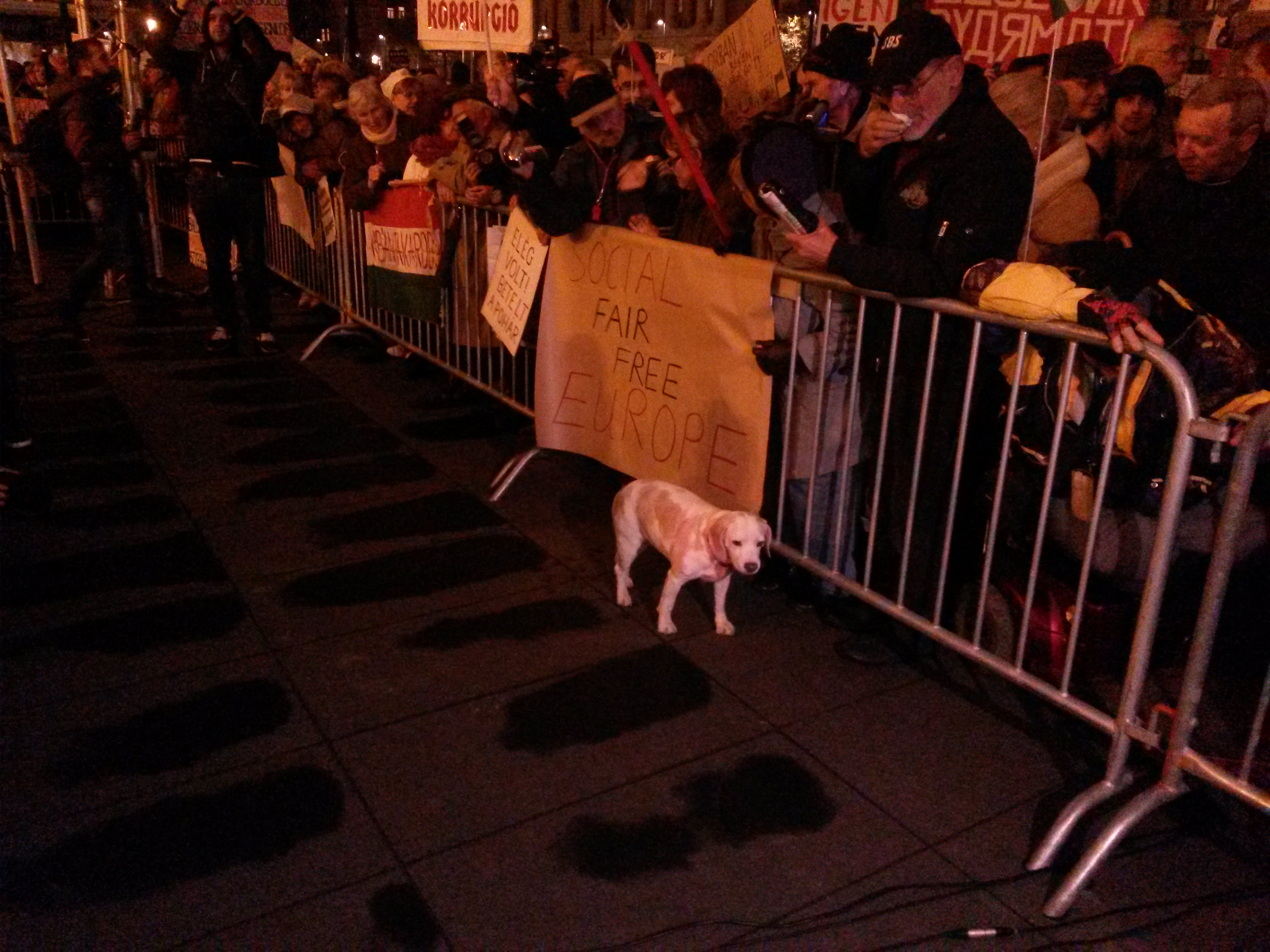 Illustration for article titled Képek, gifek, videó a tegnapi tüntetésről, minden itt van egyben