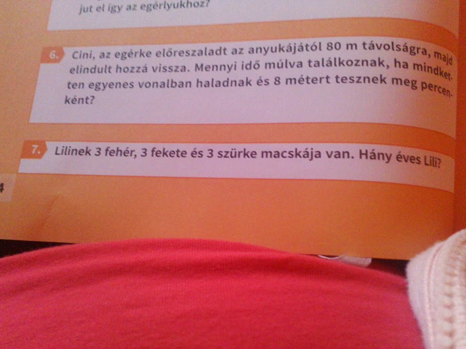 Te hogyan oldanád meg ezt a matekpéldát?