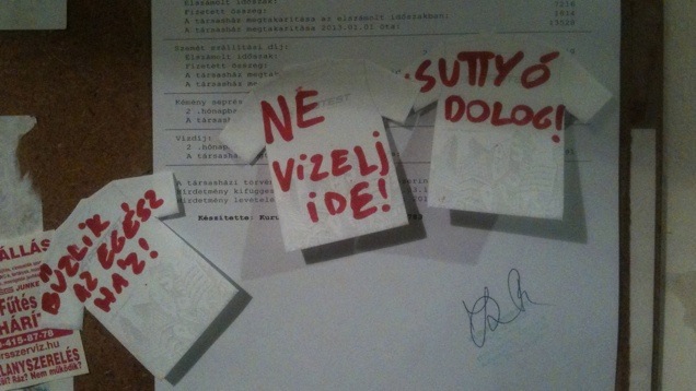 Hányszor mondjam, hogy ne vizelj ide?!