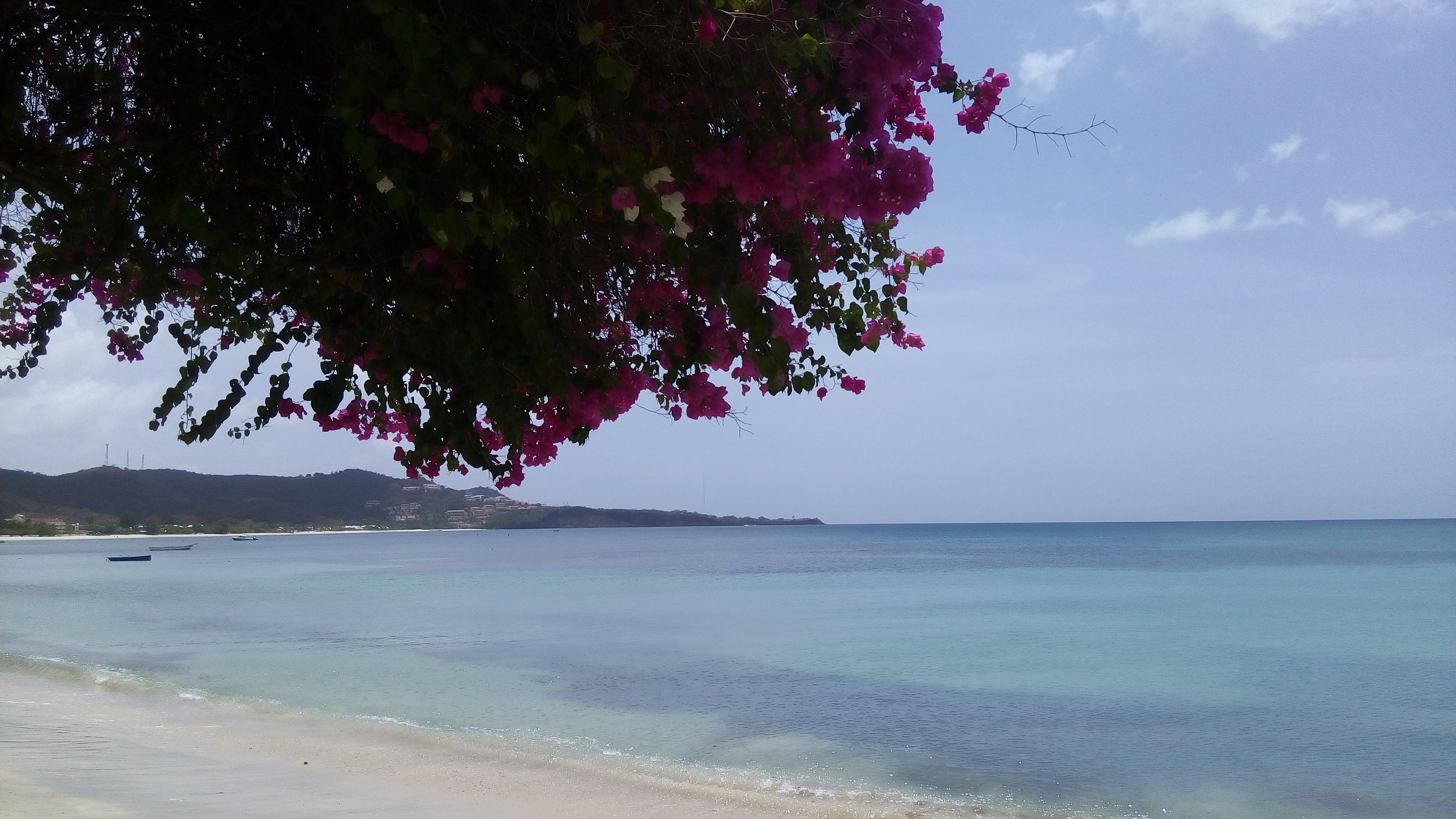 Illustration for article titled A magyar-rasztafari pokol és örök babiloni ellentét története