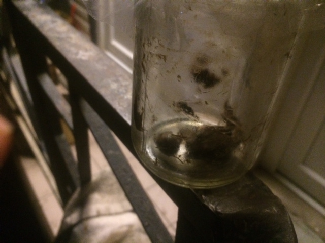 Illustration for article titled 100 napos tojás? 35 éves zebrapintymúmia!