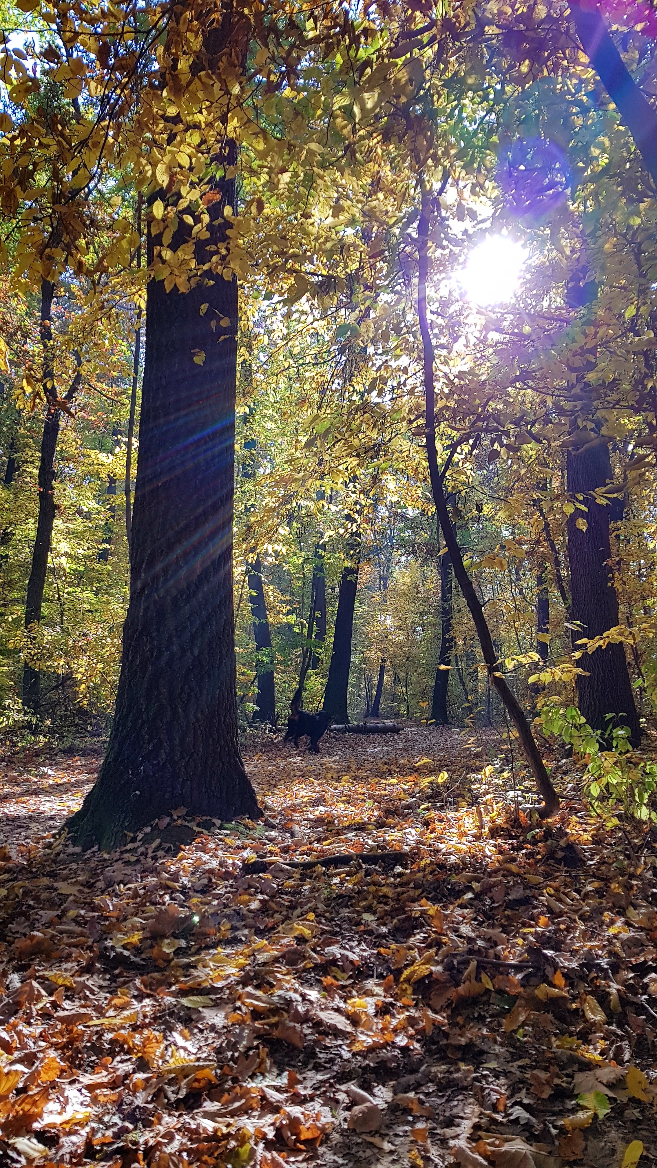 Illustration for article titled Időjárásjelentés