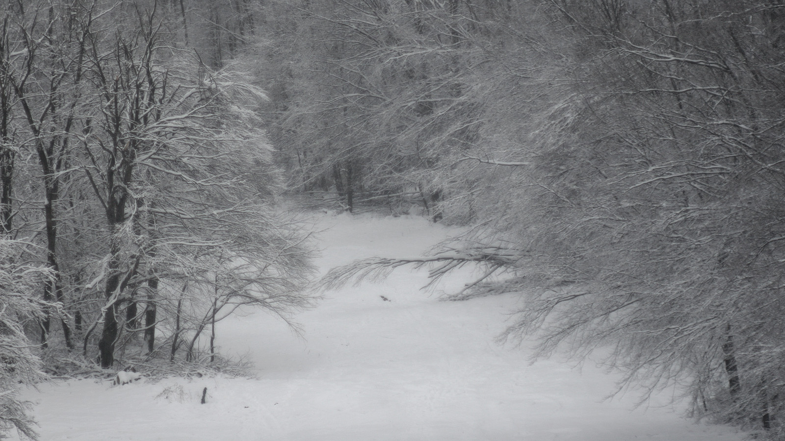 Illustration for article titled Itt a tél, és egyébként mindenki azt ír, amit akar, csak írjon!