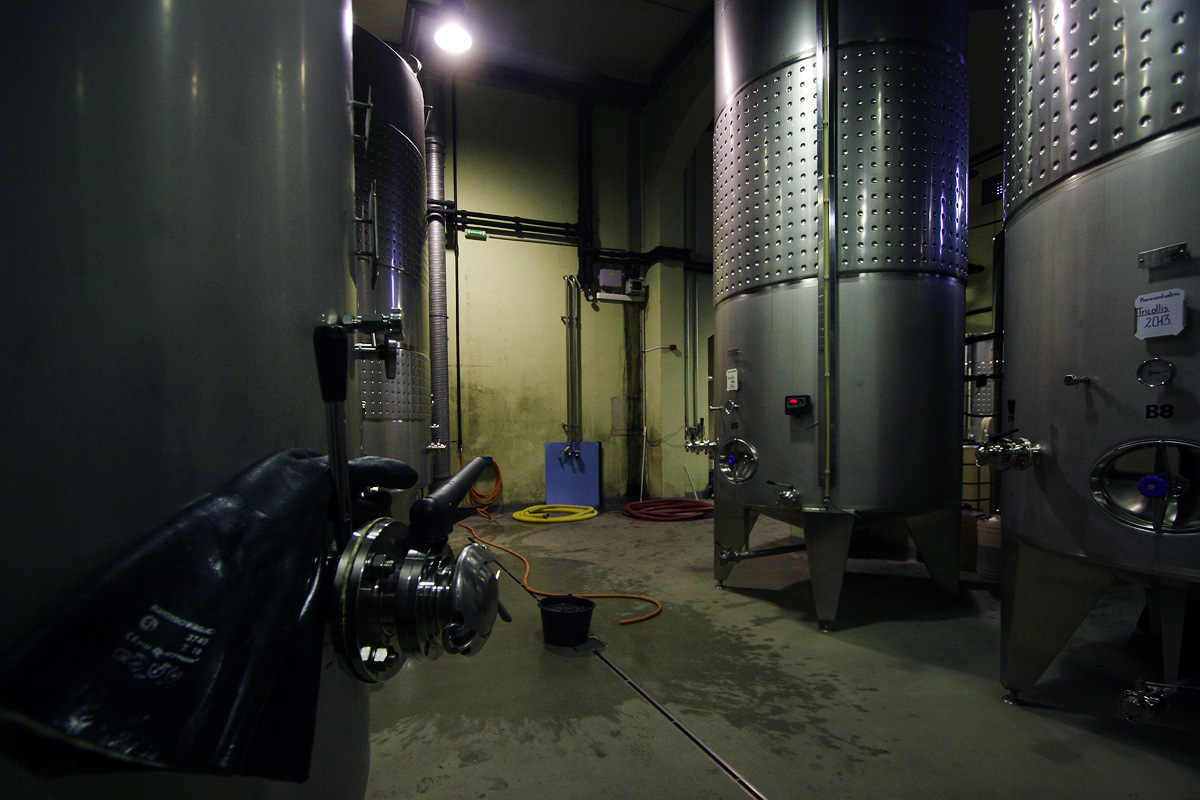 Illustration for article titled Papbor