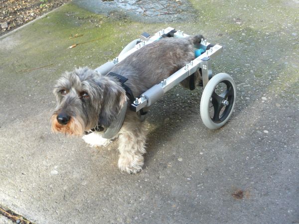 Illustration for article titled Hátsókerék meghajtású Zsombi