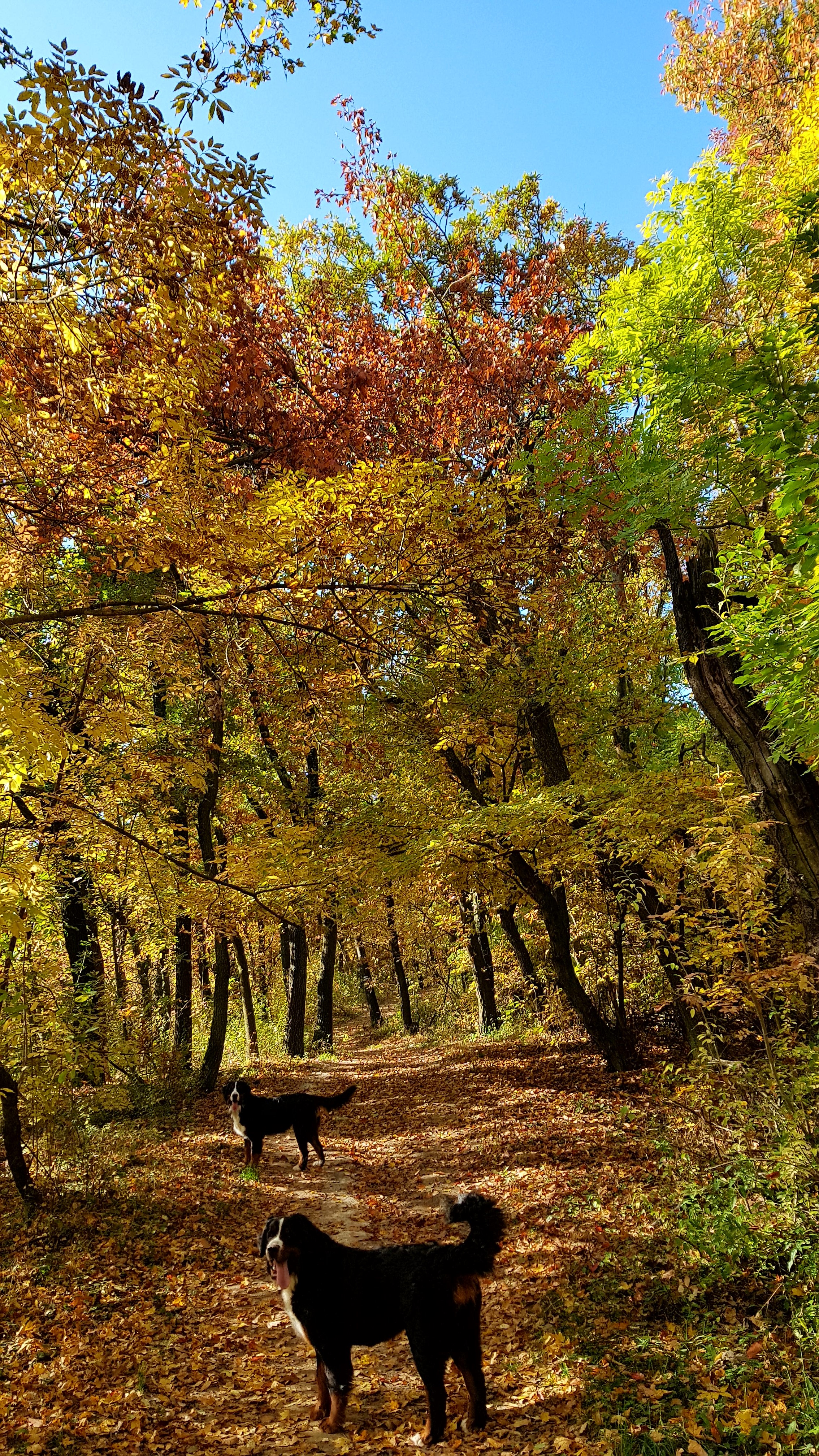 Illustration for article titled Időjárásjelentés