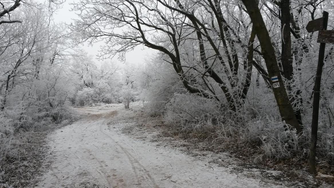 Illustration for article titled Időjárásjelentés