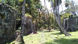 Illustration for article titled A magyar-rasztafari pokol és örök babiloni ellentét története