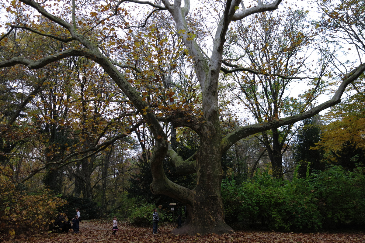 Illustration for article titled A legszebb dolog, amit József nádornak köszönhetünk