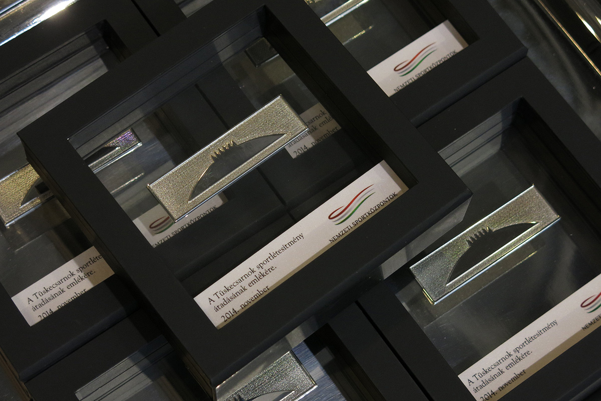 Illustration for article titled Simicskó Air István majdnem bezsákolta a kisgyereket