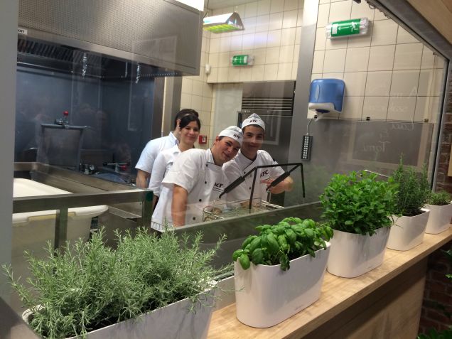 Illustration for article titled Segítség! Halálra dolgoztatják Lacit és Tomit!