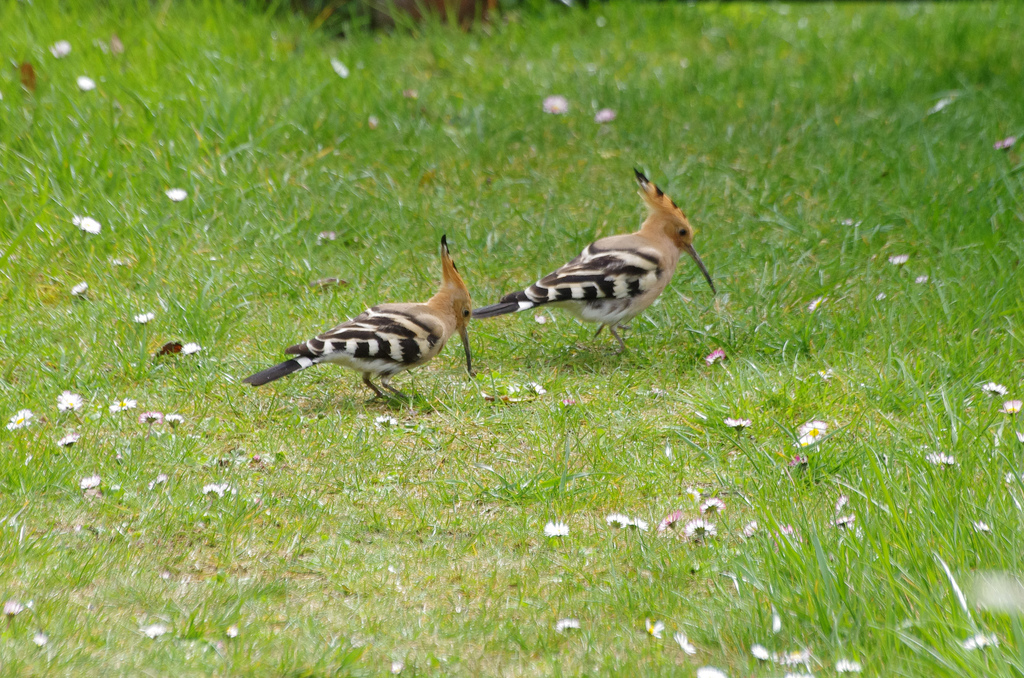 Illustration for article titled Végre egy igazán fontos választás!