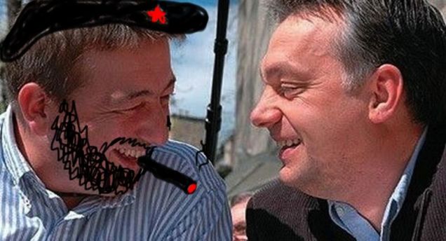 Ilyen például az ágyi poloska, a szőrös disznóparéj meg a Szily László