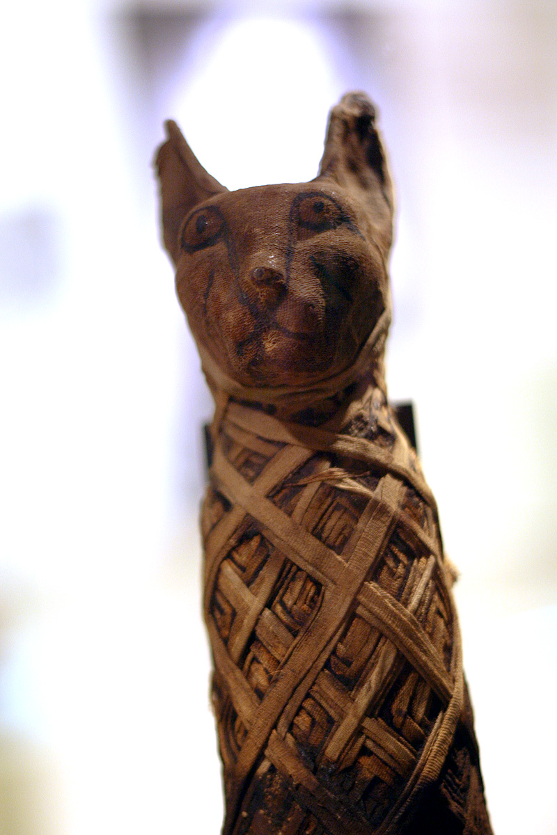 Illustration for article titled Hogy Sándor Terézia vámpír lett volna? Ugyan már!