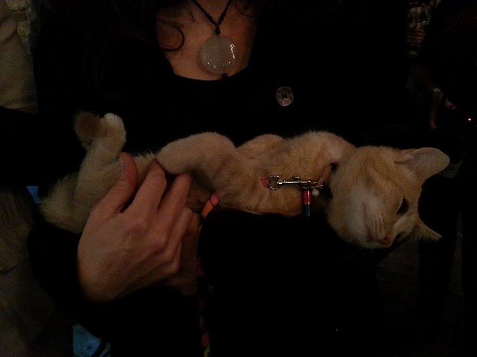 Az LMP-nél még mindig Lehet Mása a főszereplő, más nem történik