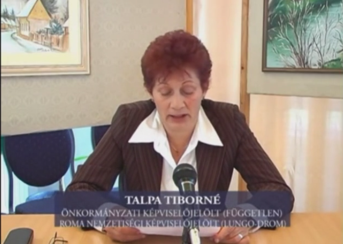 Ismerd meg Talpánét, az ideális politikust!