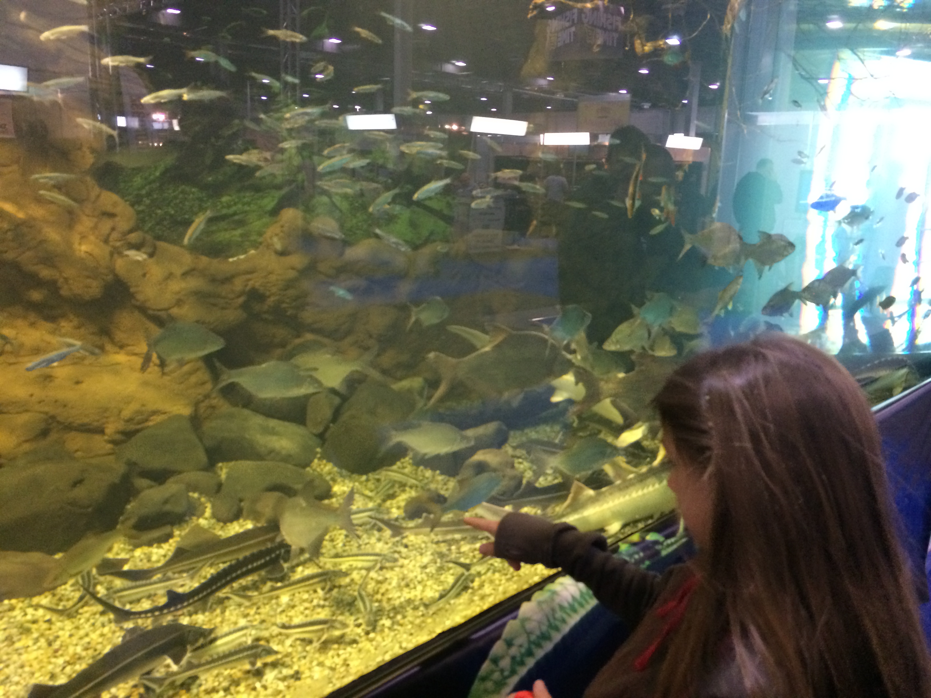 Illustration for article titled Így buliznak döglött állatokkal az ország legidiótábban öltözött emberei