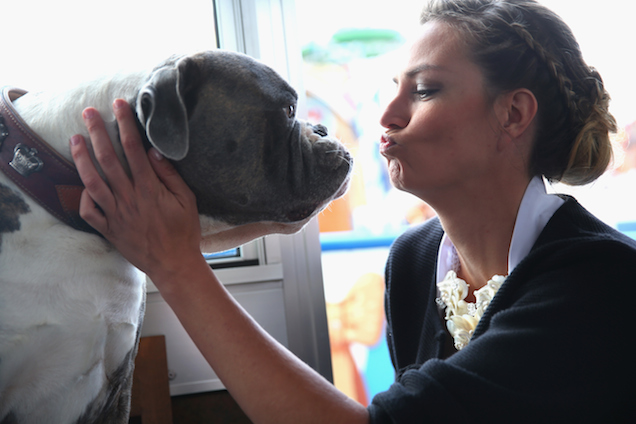 Nevelő célzattal törték el az öt hónapos Bogyó lábát