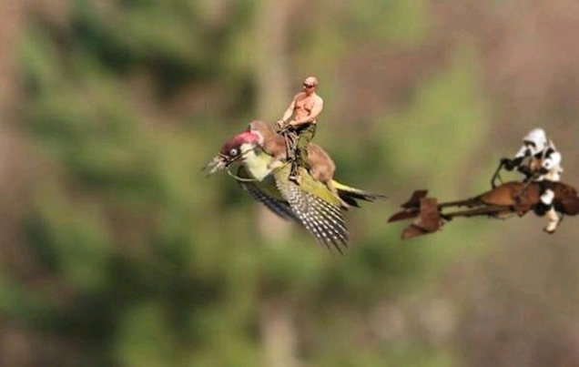 Vlagyimir Putyin meglovagolja a zöld küllőt meglovagoló minimenyétet