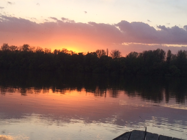 Illustration for article titled 100 napos tojás? 35 éves zebrapintymúmia!