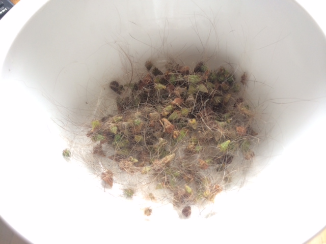 Te szemét Ismeretlen Fideszes Tolvaj, ez innentől személyes!