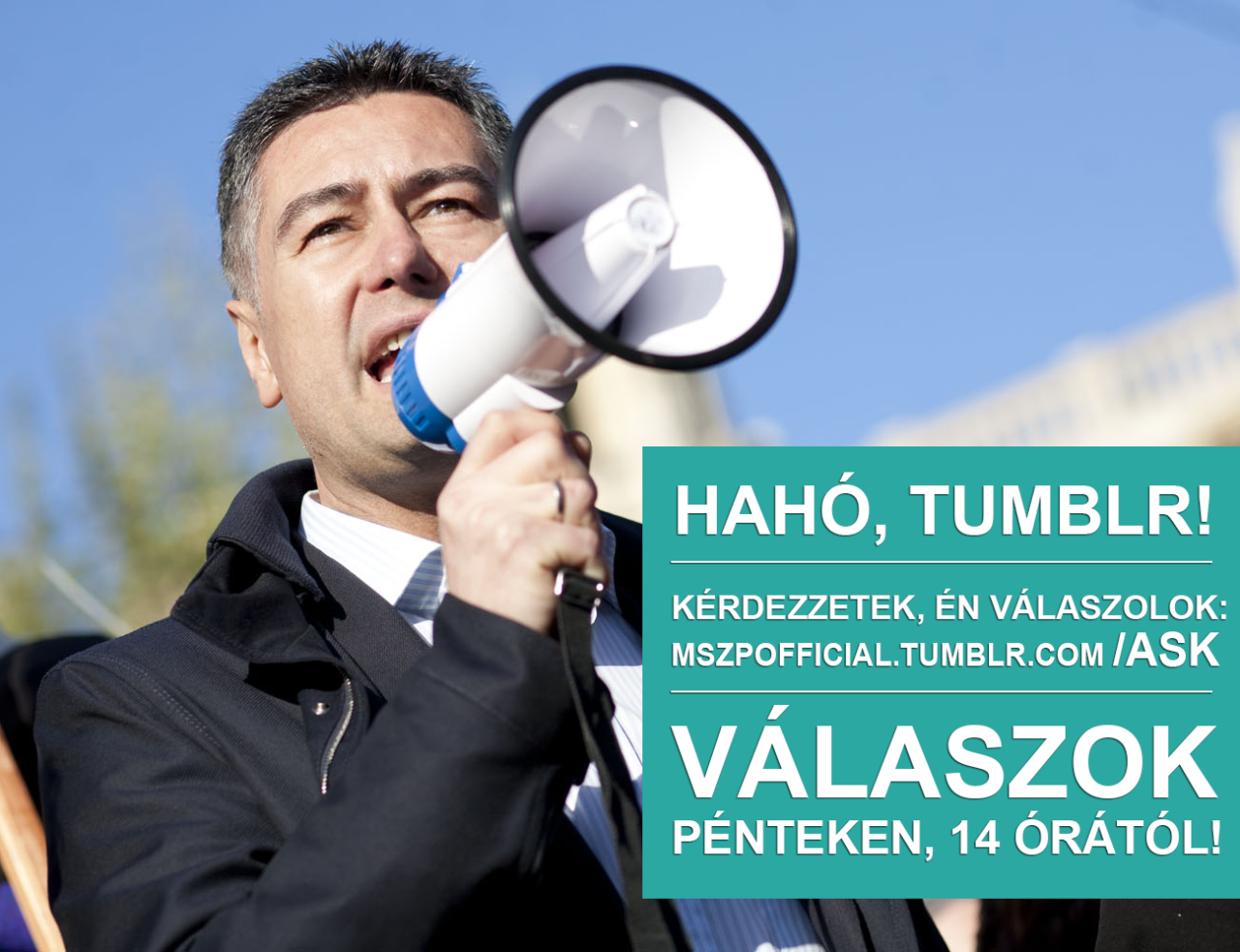 A búráról is kérdezhetitek a Tumblr-en Horváth Csabát