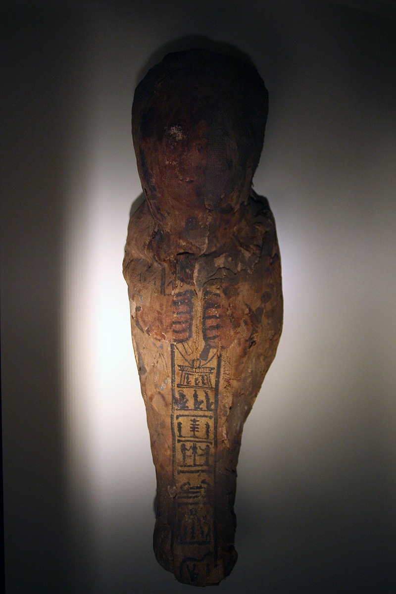 Illustration for article titled Hogy Sándor Terézia vámpír lett volna? Ugyan már!