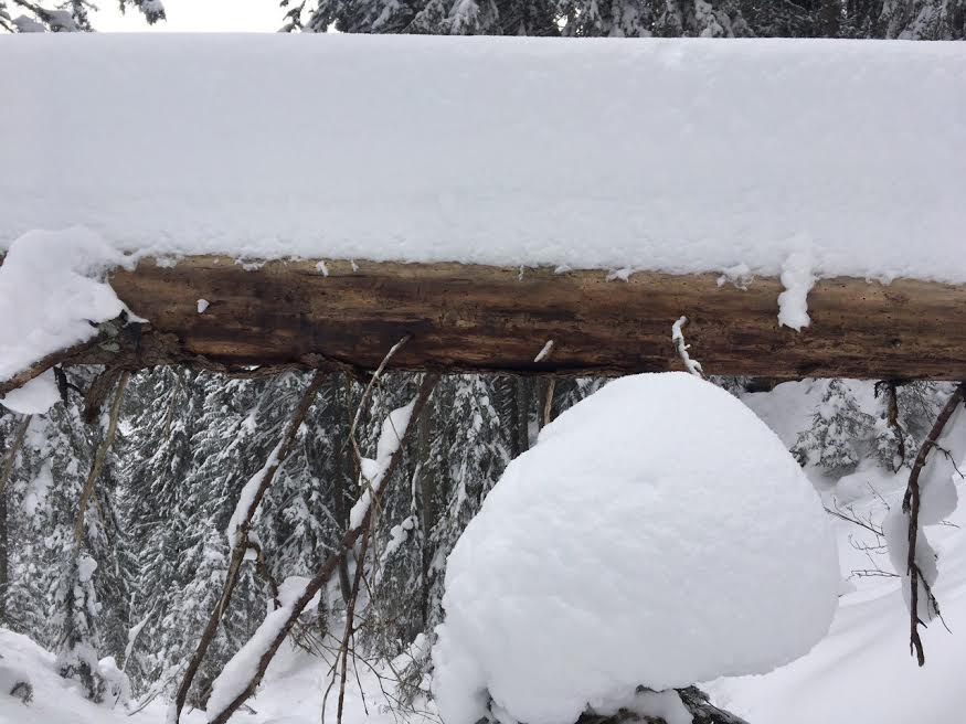 Illustration for article titled Erdődesszert